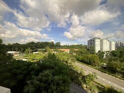 The Cairnhill (D9), Condominium #596520851